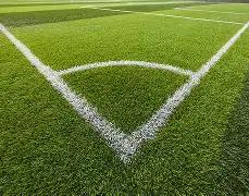 故宫向异常,购票观众致,免费开放参,竞技宝官网网址,竞技宝网页入口,竞技宝网页地址,竞技宝app下载