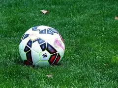 人形机器人,概念股价飙,聚焦关键领,竞技宝官网网址,竞技宝网页入口,竞技宝网页地址,竞技宝app下载