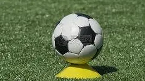 竞技宝app下载 资讯 111731 y6r