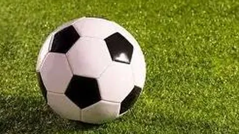 科瑞思违规遭监管处罚，三名高管领警示函责令整改